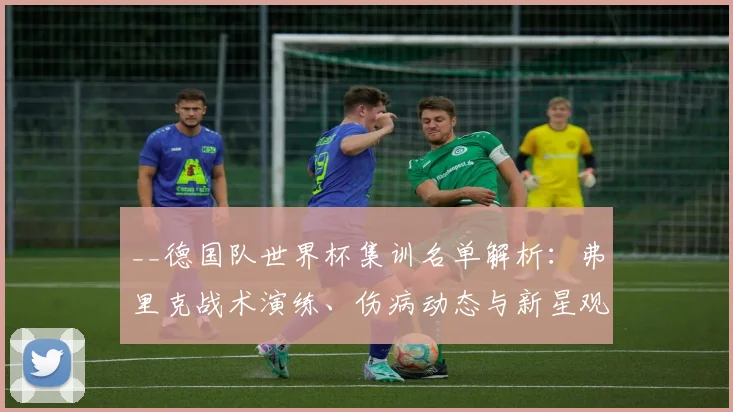 __德国队世界杯集训名单解析：弗里克战术演练、伤病动态与新星观察__